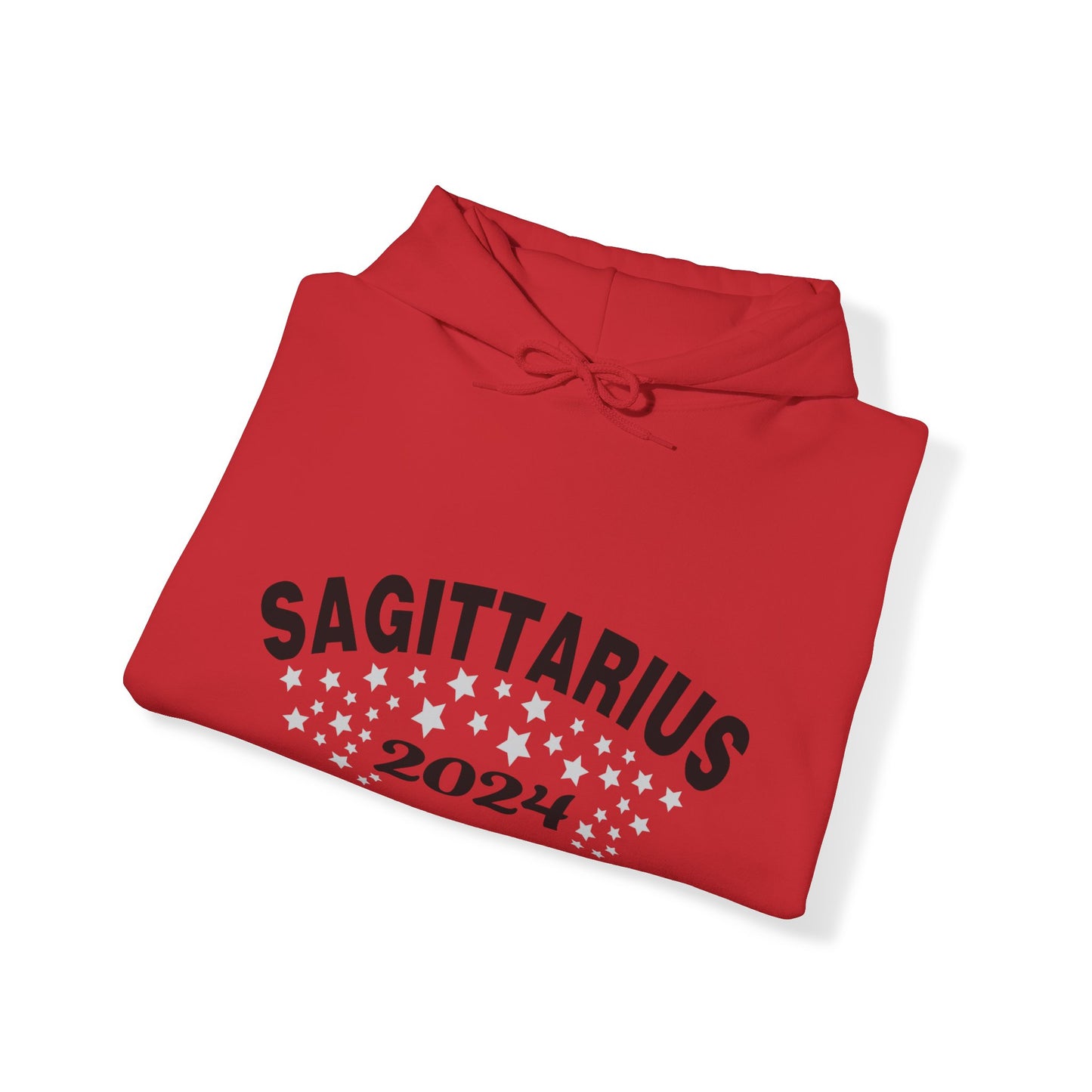 Sagittarius Hoodie 2024