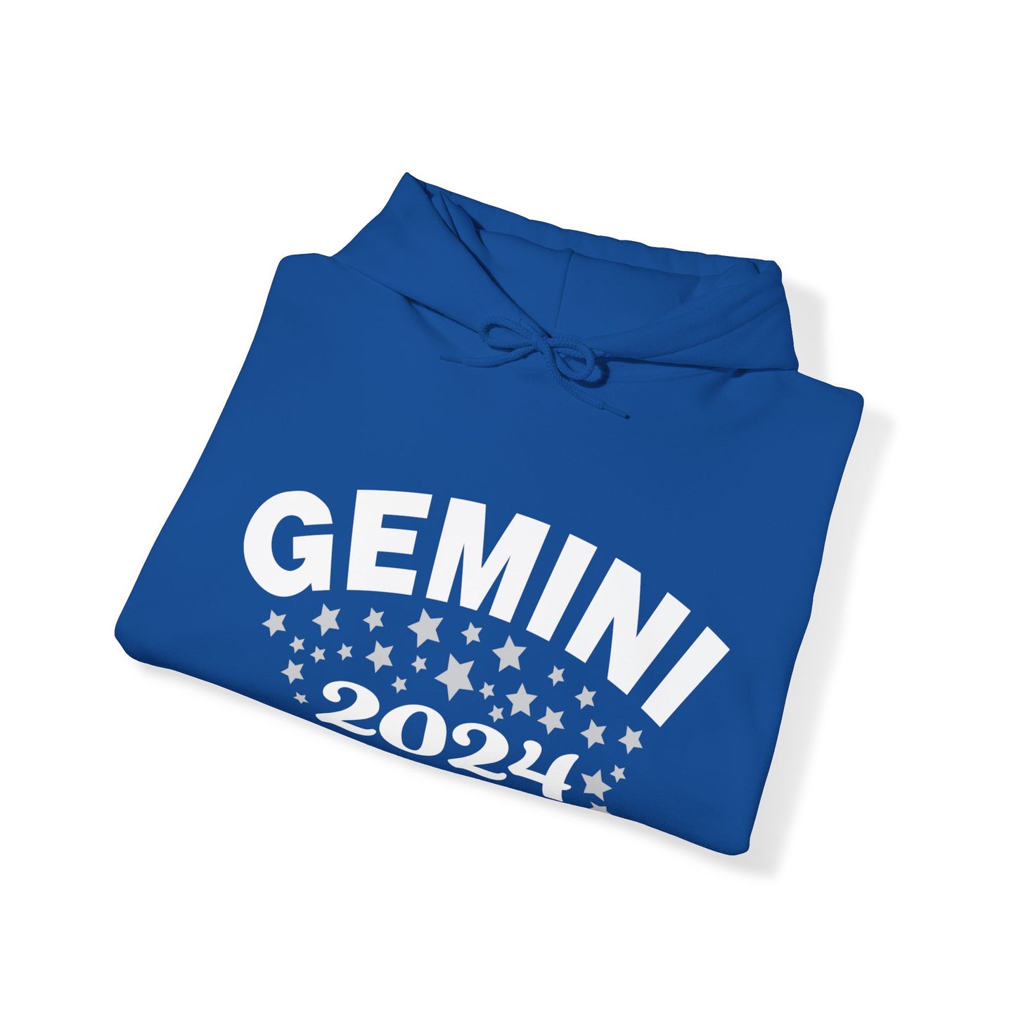 Gemini Hooded Sweatshirt 2024