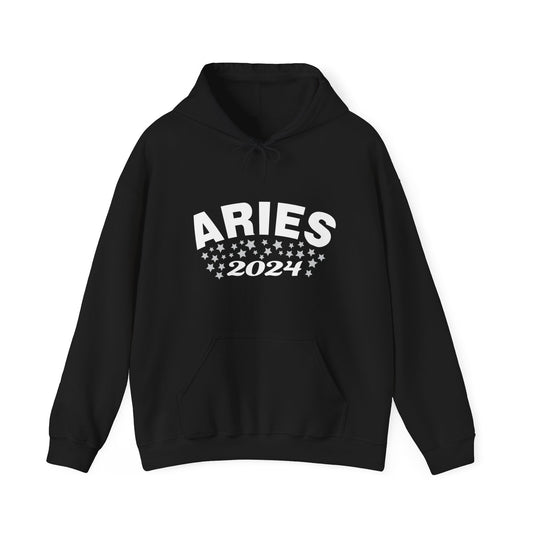Aries Hooded Sweatshirt 2024