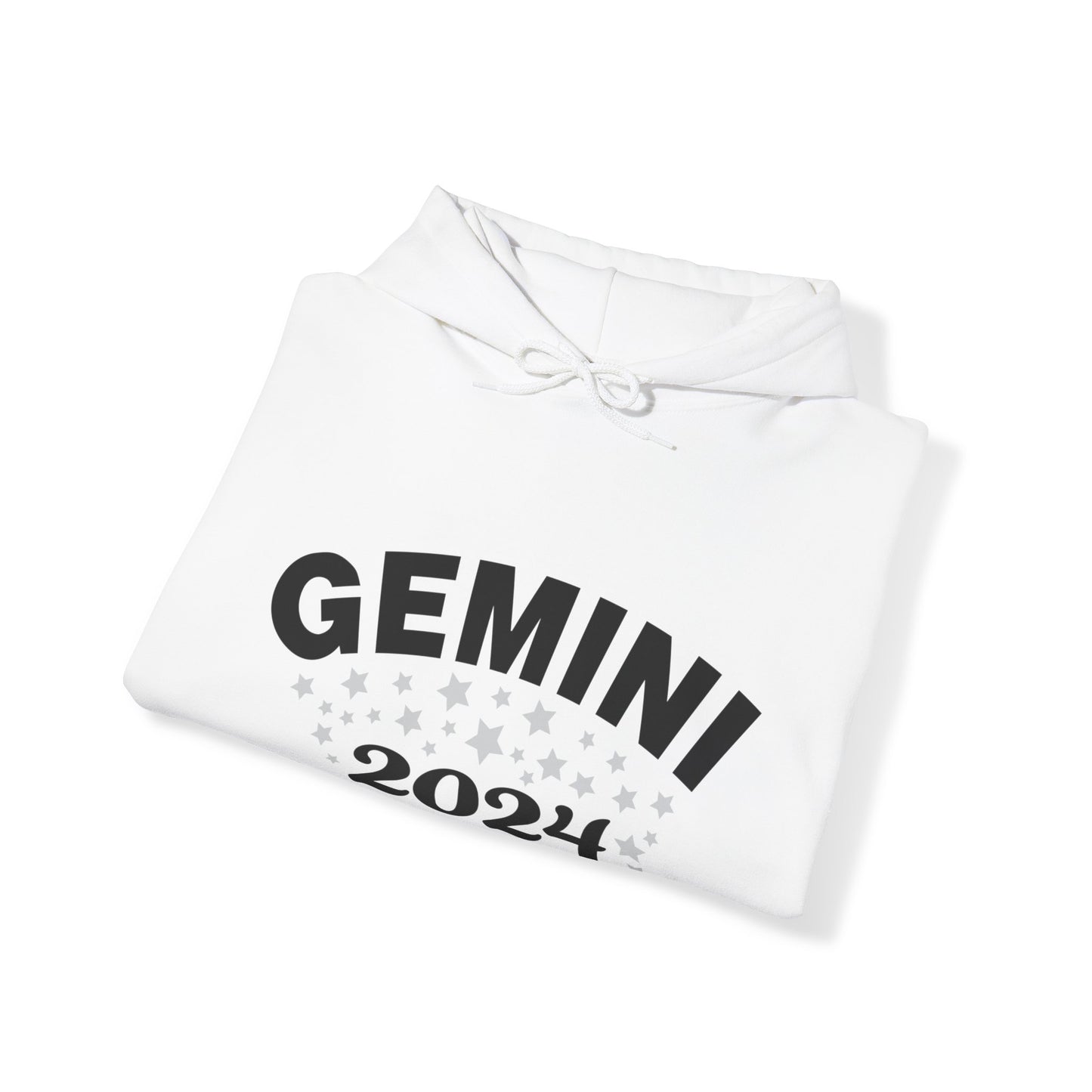 Gemini Hoodie 2024