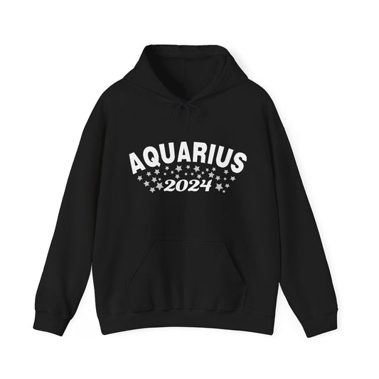 Aquarius Hooded Sweatshirt 2024