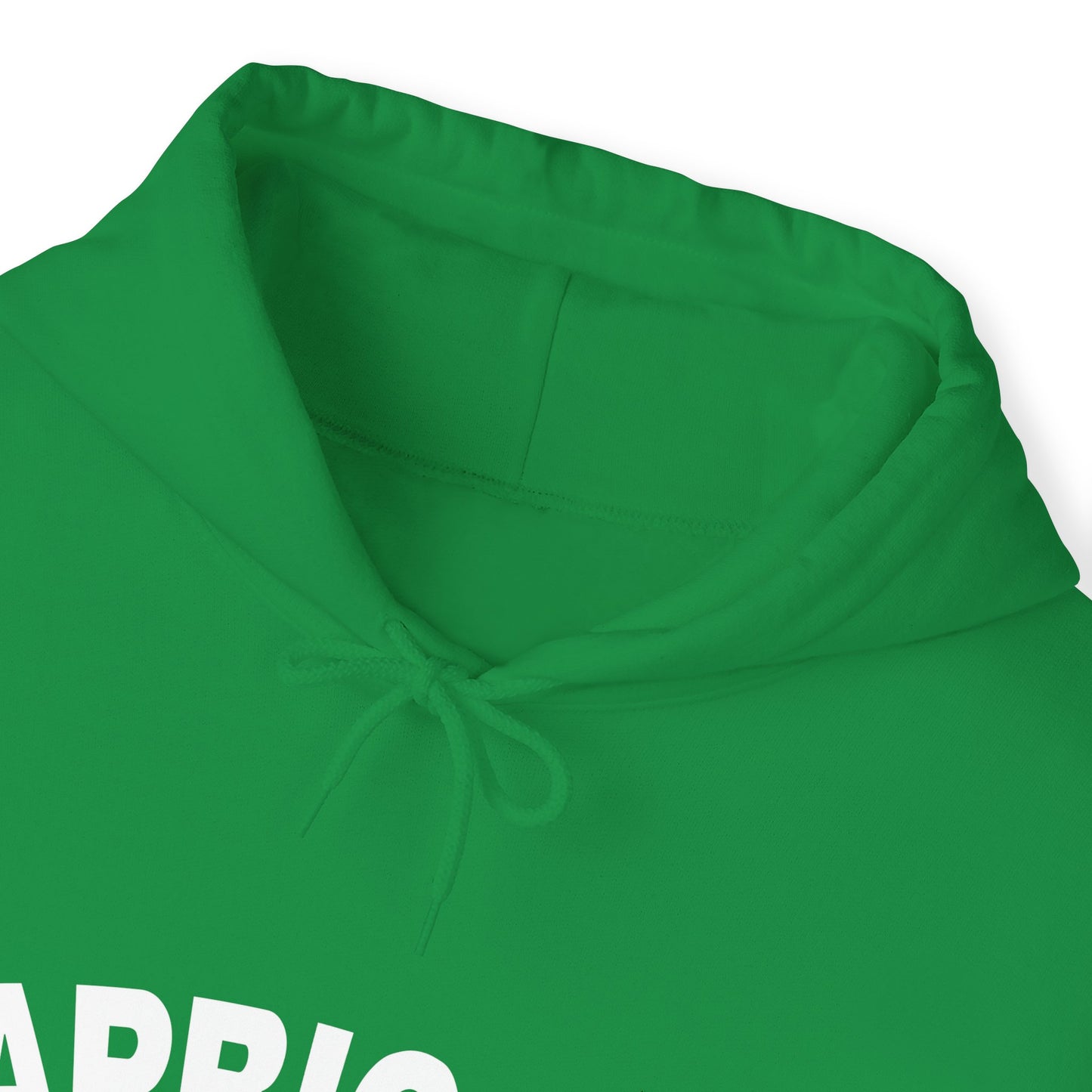 Capricorn Hooded Sweatshirt 2024