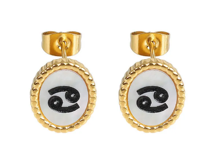 Zodiac Sign Stud Earrings