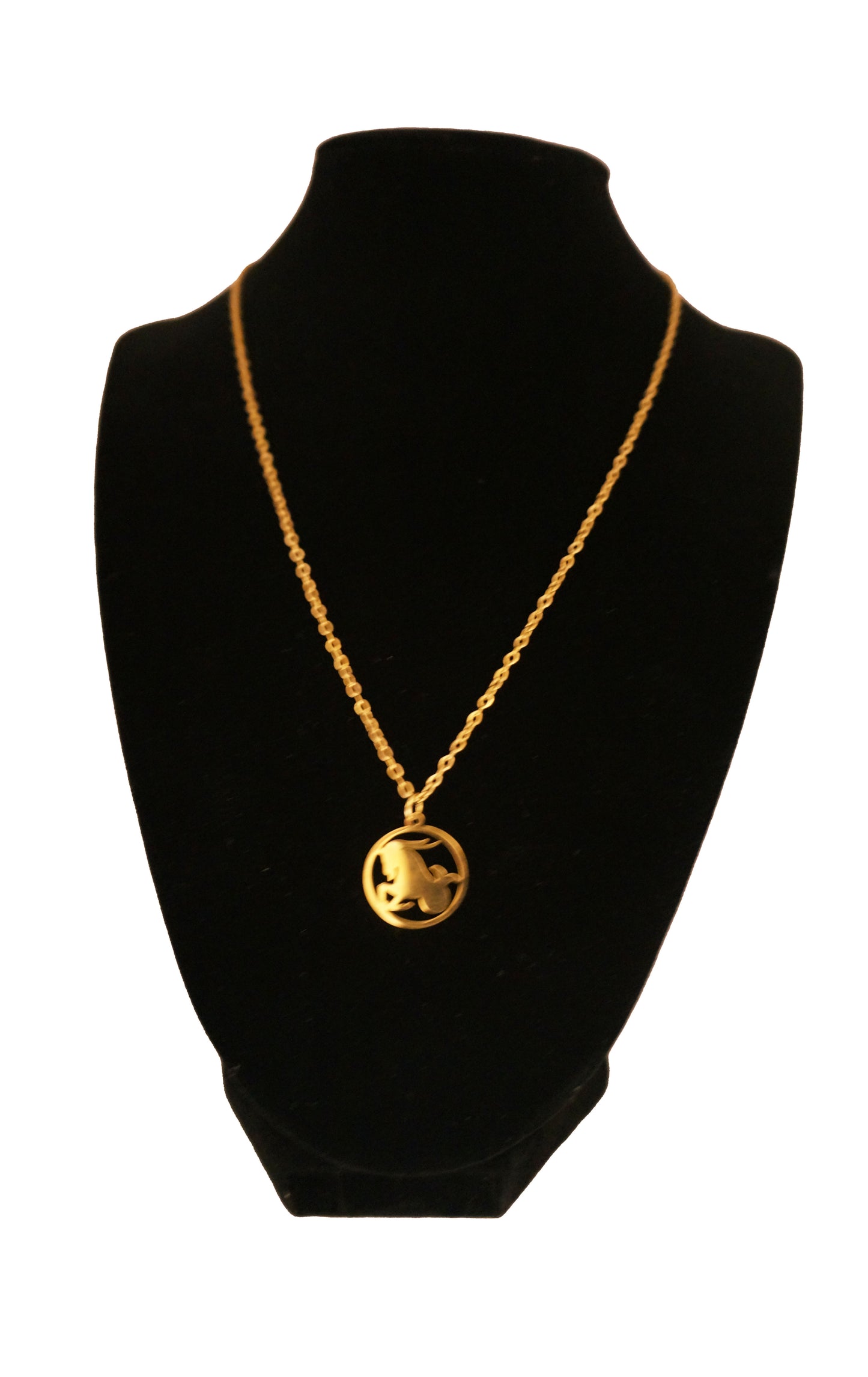 NECKLECE HOROSCOPE JEWELRY PICTURE