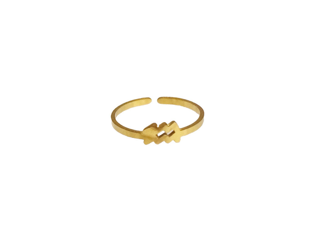 Zodiac Sign Open Ring