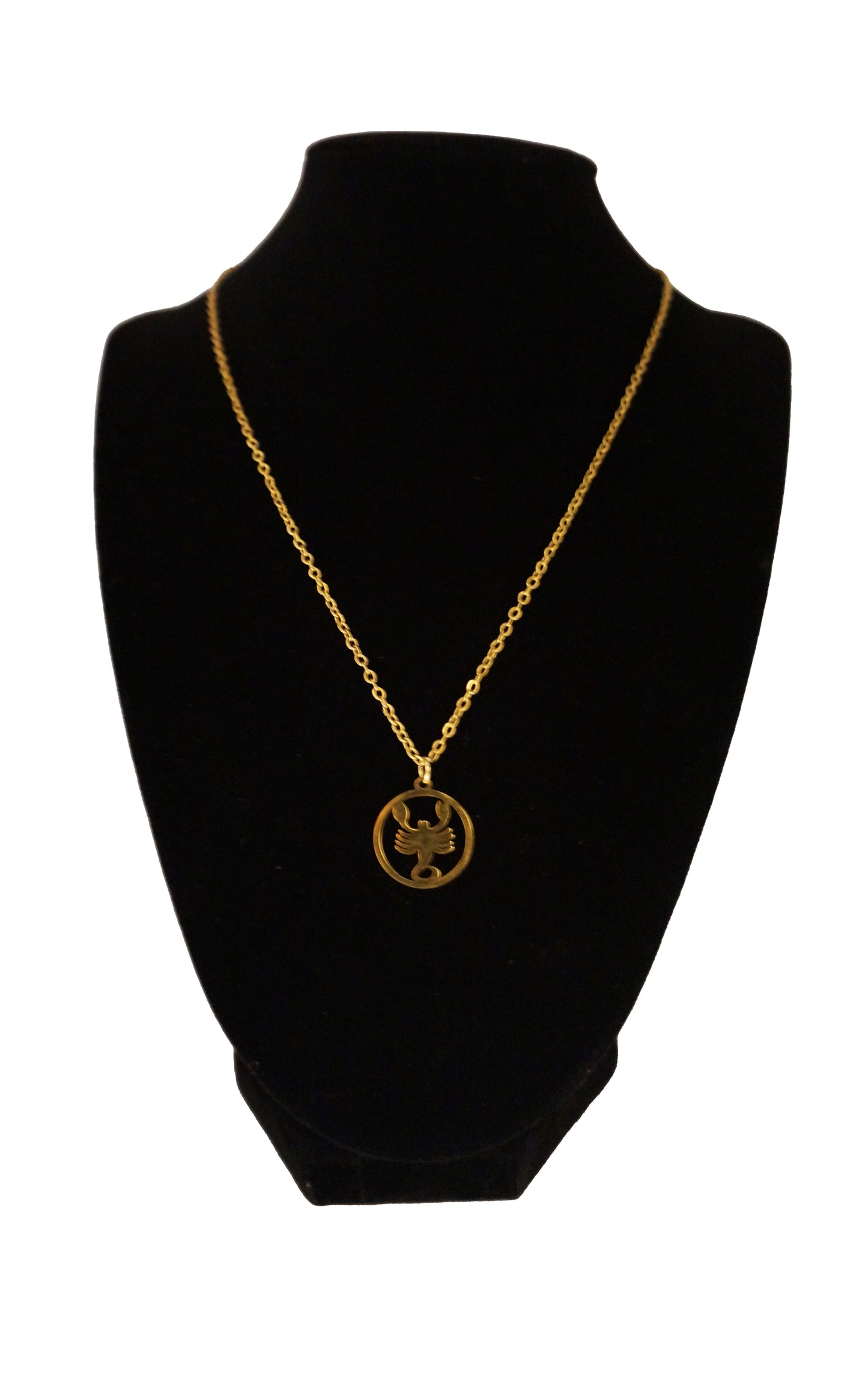 NECKLECE HOROSCOPE JEWELRY PICTURE